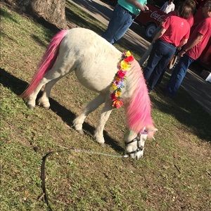 Meet your Posher, Casey